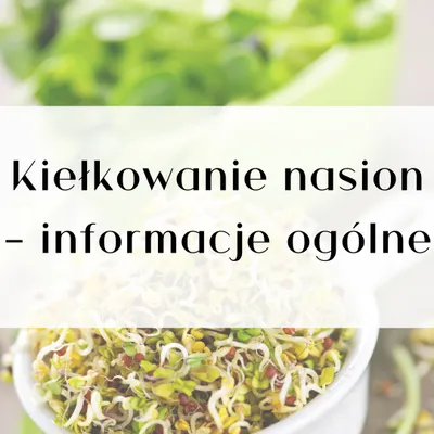 Zdjęcie produktu dla Poradnik ParrotPlanet- KIEŁKOWANIE - skuteczna i bezpieczna metoda na papuzie kiełki