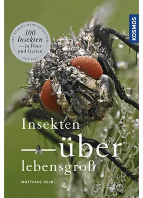 Produktbild von Insekten überlebensgroß