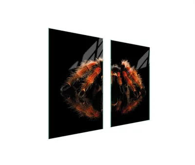 Immagine prodotto di Piastre copri fornelli 2 pezzi 75x52 Copri piano cottura in Vetroceramica tagliere in vetro nero