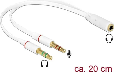 Image de DELOCK DeLOCK 65585 câble audio 0,2 m 2 x 3,5mm 3,5mm Blanc