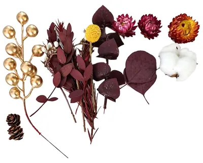 Weihnachtskranz-Deko-Set, 10-teilig, Naturmaterialien