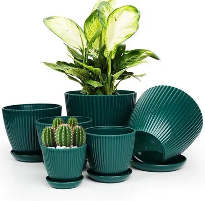 Obrázek produktu pro Plastové květináče – květináče – péče o rostliny – s odtokovými otvory a podmisky – 6 kusů, 19 cm – tmavě zelené