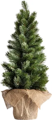 Zdjęcie produktu dla HOMLA Choinka OPPLA w jucie 55 cm