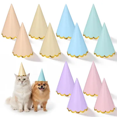 12 bunte Pastell-Festhüte, Kegel-Geburtstagshüte mit Goldprägung