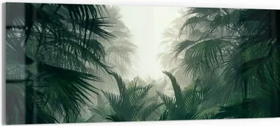 Produktbild von DEQORI Glasbild Echtglas 125x50 cm 'Nebelwaldgeheimnis' Wandbild Bild modern Deko