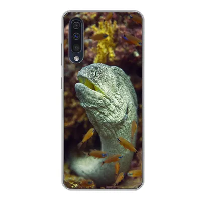 Produktbild von MuchoWow® Handyhülle Schutzhülle Hülle für Samsung Galaxy A50 Fische - Korallen - Ozean Silikon Softcase Handy Hülle - Mobiltelefonhülle