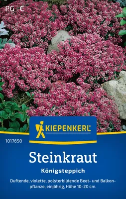 Produktbild von Kiepenkerl Steinkrautsamen Königsteppich Lobularia maritima 80 Pflanzen