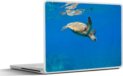 Produktbild von MuchoWow® Laptop Aufkleber Sticker Cover Schildkröte schwimmt im Meer 40x30 cm - Laptop Dekoration - Selbstklebend