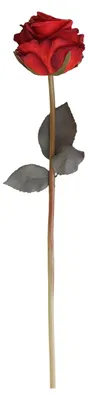 Produktbild von Künstliche Rosen für Blumenarrangements, realistischer Rosenstrauß aus Kunstseide mit langem Stiel, ideal für Hochzeitsdekorationen, Heimdekorationen und Partys