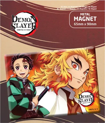 Produktbild von Demon Slayer: Kimetsu no Yaiba Magnet Tanjiro & Kyojuro