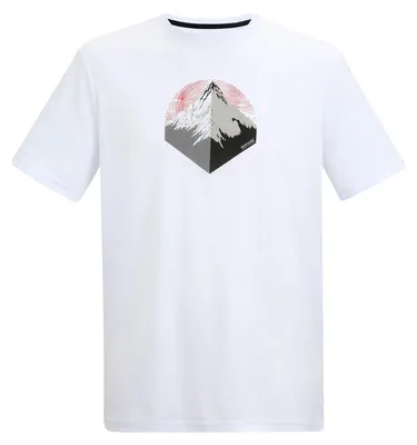Produktbild von REGATTA Herren Funktionsshirt Fingal