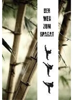 Produktbild von Der Weg zum Spagat