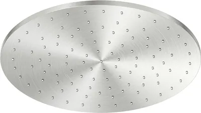 A round, flat shower head with multiple small holes arranged in concentric circles.