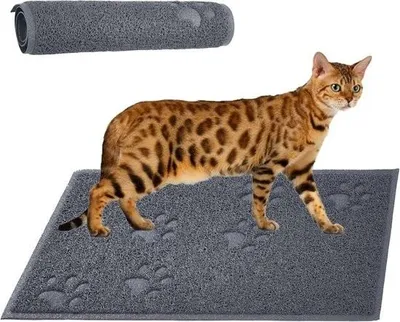 Produktbild von Katzenstreumatte – Haustiermatte – Futtermatte – Futtermatte für Katzen und Hunde – Weiche, rutschfeste Katzenstreumatte – Wasserdichte Hundefuttermatte – Haustierstreumatte – Robuste Katzenstreumatte aus PVC – Leicht zu reinigen – 39 x 59 cm