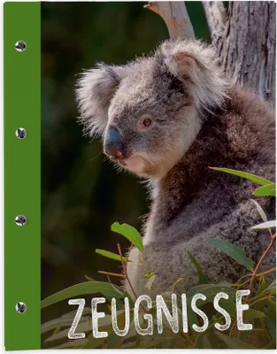 Produktbild von itenga Zeugnismappe A4 mit Schraubverschluss Motiv Koala