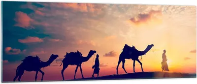 Produktbild von Bilder auf glas - Kamel Wohnwagen - 140x50cm - Glasbilder - Wandbilder - Kunstdruck - zum Aufhängen bereit - Wanddekoration aus Glas - Glas Bilder - Wandbild auf Glas - Einteilig - GAB140x50-3672