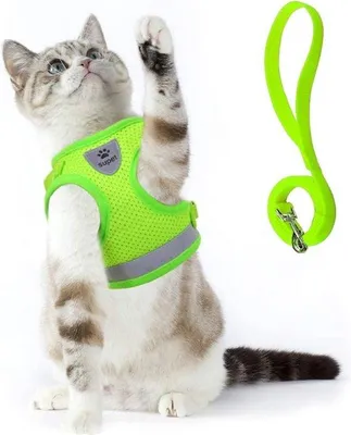 Produktbild von Famanu Katzenharness mit Leine - weich, grün, Größe S