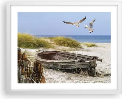 Produktbild von Gerahmtes Poster - Weißer Rahmen - Strand Möwen £ódŸ - 50x40 cm - Wand Bild - Wanddeko - Wandbilder - Kunstposter - Wandposter - Bilderrahmen - Bilder - Kunstdruck - Wandbild - P2WAA50x40-4170