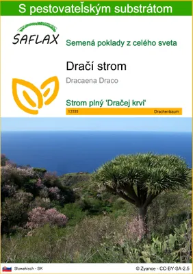 Obrázok produktu pre SAFLAX - dračí strom - Dracaena Draco - 5 Semená - S pestovateľským substrátom bez klíčkov