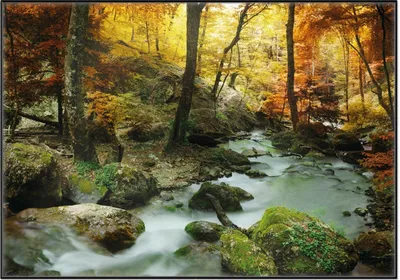 Produktbild von Wallario Wandbild Wasserfall mit moosbedeckten Steinen im Herbstwald, Größe: 70,30 x 100,30 cm, Poster mit schwarzem Aluminiumrahmen