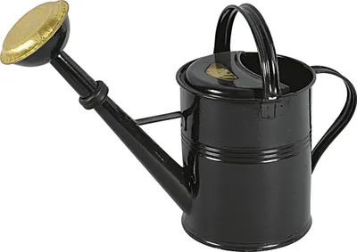 Produktbild von KOVOTVAR 26030132012 Deluxe Gießkanne mit Brause, Metall, lackiert, 5 Liter, grün