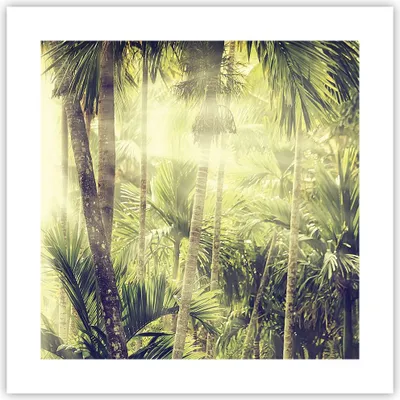 Produktbild von Poster - Poster ohne Rahmen - Morgendämmerung Dschungel Palmen - 40x40 cm - Wand Bild - Wanddeko - Wandbilder - Kunstposter - Wandposter - Bilder - Kunstdruck - Wanddekoration - P2XAC40x40-4450