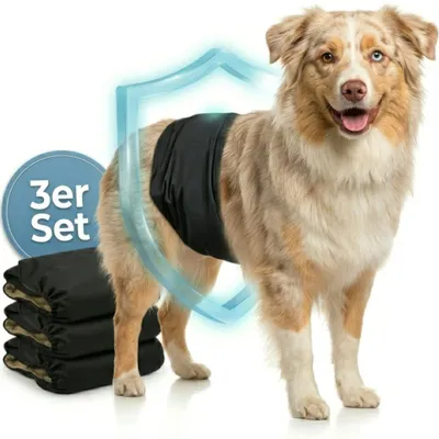 Produktbild von HUND IST KÖNIG Hundewindeln für Rüden [3 Stk], XL (Taille 59-65 cm) - saugstarke Hundewindeln bei Inkontinenz, umweltfreundliche Rüdenwindel waschbar