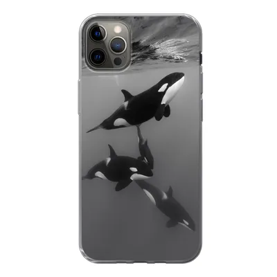 Produktbild von MuchoWow® Handyhülle Schutzhülle Hülle für iPhone 13 Pro Max Orca - Wasser - Schwarz - Weiß Silikon Softcase Handy Hülle - Mobiltelefon