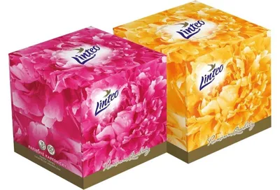Obrázok produktu pre Kapesníčky papírové Linteo Premium, 3vrstvé, 100 % celulóza, bílé, box 60 ks