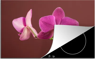 Produktbild von KitchenYeah© Herdabdeckplatte Blumen - Orchideen - Rosa , 80x52cm, Küche Deko, Glaskeramikkochfeld Herdabdeckung, Abdeckplatte fùr Kochfeld