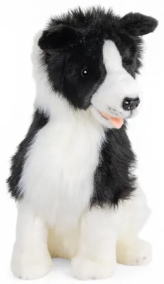 Produktbild von Carl Dick Border Collie sitzend ca. 40cm Plüschtier, Stofftier, Kuscheltier 3785