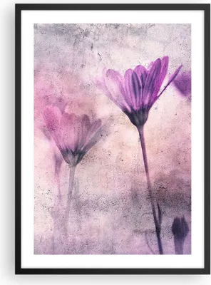 Produktbild von Gerahmtes Poster - Schwarzer Rahmen - Blumen Rosa Vintage - 50x70 cm - Wand Bild - Wanddeko - Wandbilder - Kunstposter - Wandposter - Bilderrahmen - Bilder - Kunstdruck - P2BPA50x70-4432