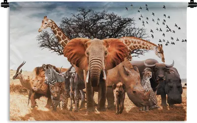 Produktbild von MuchoWow® Wandteppich Wandbehang Tiere - Giraffe - Elefant 150x100 cm Tapisserie Dekoration Wandtuch - Waschbar - Tapisserien - Wand-Decke