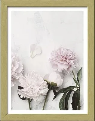 Produktbild von Gerahmtes Bild Peonies II 19x24 cm