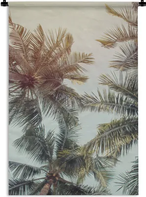 Produktbild von MuchoWow® Wandteppich Wandbehang Palme - Sommer - Tropisch 90x135 cm Tapisserie Dekoration Wandtuch - Baumwolle - Wandskulptur