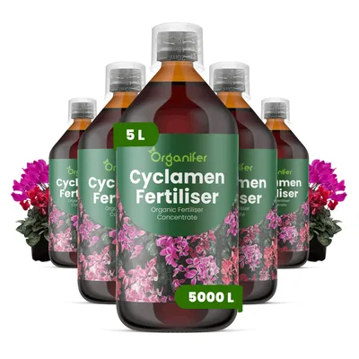 Produktbild von Alpenveilchen Flüssigdünger 5x1L – 2-1-8 NPK – Flüssigdünger Für Blühpflanzen – Für Blätter & Üppige Blüte – Fördert Wurzeln & Vitalität – Organifer