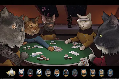 Produktbild von Pyramid Star Trek Cats Poker Poster 61x91.5cm.