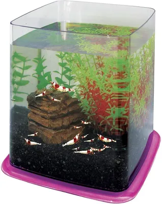 Aquarium 6,4 L rechteckig Polycarbonat transparent