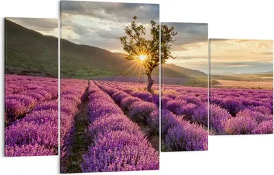 Produktbild von Bild auf Leinwand - Leinwandbild - Lavendel Berge Feld - 120x70cm - Wand Bild - Wanddeko - Leinwanddruck - Bilder - Kunstdruck - Wanddekoration - Leinwand bilder - Wandkunst - DL120x70-3645