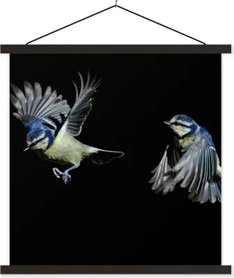 Produktbild von MuchoWow® Textilposter Vogel - Federn - Porträt 120x120 cm mit schwarzem Rahmen - Aufhängungsset