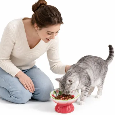Produktbild von Keramik Katzennapf in Erdbeerform, erhöhter Anti-Schling-Napf, 15° Neigung, schnurrhaarfreundlich, rutschfest,spülmaschinengeeignet,für Katzen & Hunde