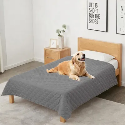 Immagine prodotto di Coperta impermeabile per cani, lavabile e morbida