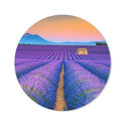 Produktbild von MuchoWow® Mauspad Mousepad Lavendel - Lila - Blumen 50x50 cm - Mousepads - Maus Mat - Pad - Mausunterlage - Vinyl