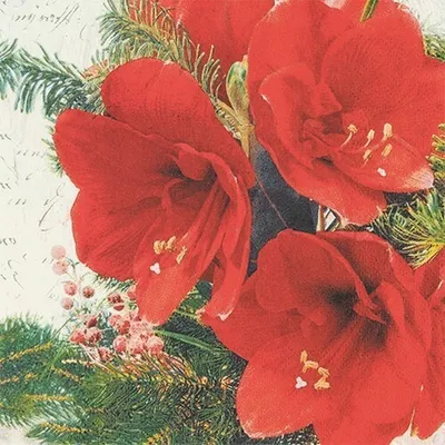 Produktbild von 20 Servietten Red Amaryllis - Rote Amaryllisblüten 33x33cm