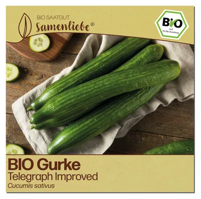 Produktbild von Samenliebe  Gurke Samen | Telegraph Improved - glatte & sehr lange & klassische - samenfestes  Saatgut