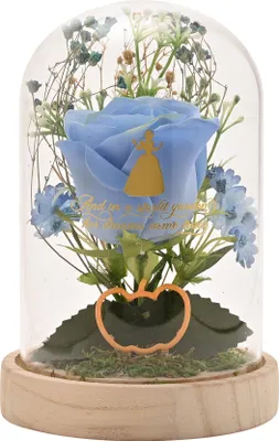 Produktbild von Widdop & Co. Disney-prinzessinnen Cinderella Figur Kinder One Size