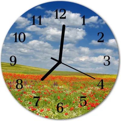 Produktbild von Glasuhr Wanduhr Küchenuhr Echt-Glas 30fi cm Mohnblumen Feld rot blau