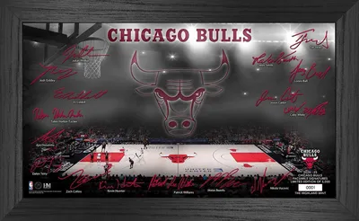 Produktbild von NBA Chicago Bulls Signature Court Coin Bild