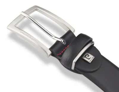 Image de Pierre Cardin Ceinture Homme Cuir Noir Premium