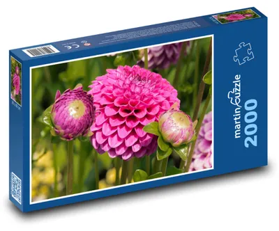 Zdjęcie produktu dla martinpuzzle - Puzzle 2000 - Jiřina